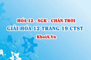 Giải Hóa 12 trang 19 Chân trời Sáng tạo